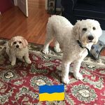 Tricia Ralston Smith - @trsmith0116 - Instagram