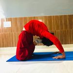 Rama Charya - @yogiramacharya - Instagram
