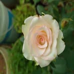 Ram Narayanan - Facebook