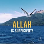 Rama Ibrahim - @zoowaala - Instagram
