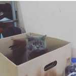 Rama Ibrahim - @rmibrhm - Instagram