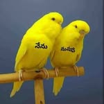 Rama Rao Penta - @penta.ramarao - Instagram