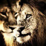 Hussein Ramadan - @ramadan.hussein - Instagram