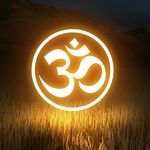 Ramesh Joshi Ji - @astrorameshguru - Instagram