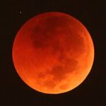 Ramesh Narasimhan - @ramesh.kliks - Instagram