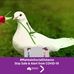 Ramesh Ram - Facebook