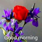 Ramesh Razdan - Facebook