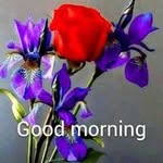 Ramesh Razdan - @ramesh.razdan.7 - Instagram