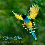 Rami Farah - @rami.farah.9212 - Instagram