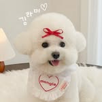 김라미 | 비숑프리제 - @rami.kim0218 - Instagram