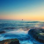 Rami Nahhas - @r.nahhas755 - Instagram