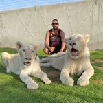Rami Ramadan - @rami_ramadan91 - Instagram