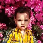 سید رامی الشریفی - @ramisharifi - Instagram