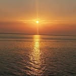 Rami Al-Tamimi - @rami.altamimi.1293 - Instagram