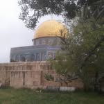 Rami Tamimi - @rami.tamimi.733 - Instagram