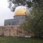Rami Tamimi - Facebook