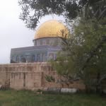 Rami Tamimi - @ramitamimi2022 - Instagram