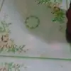 ramilgalvez472 - @ramilgalvez472 - TikTok
