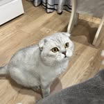 Ramil - @ramiltanaev - Instagram