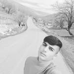 ramin__hatami - @ramin.htami - Instagram