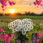 Ramirez Miranda - Facebook