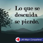 Ramiro Amaya Lopez - @ramiroamayalopez - Instagram