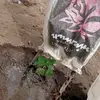 Ramiro Arellano - @ramiro.arellano350 - TikTok