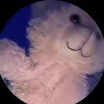 Ramiro Barajas - @ramirobarajas1128 - Instagram