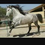 Ramiro Botello - @ramiro.botello.908 - Instagram