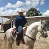 Ramiro.camacho - @ramiro.camacho - TikTok