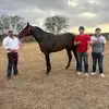 ramirocapetillo - @ramirocapetillo - TikTok