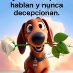 Ramiro Gutierrez Cedeño - @ramiro.gutierrezc - Instagram