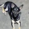 Ramiro Cerda - @ramiro.cerda7 - TikTok