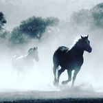 Ramiro Cervantes - @ramirocervantesramirez - Instagram