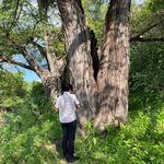 Ramiro Cervantes - @jr_cervantes06 - Instagram