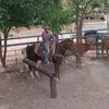 Ramiro Chacon - @ramiro.chacon6 - TikTok