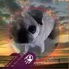 Ramiro Chacon - @ramiro.chacon07 - TikTok