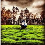 Ramiro Chacon - @ramirochacon - Instagram