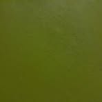 Ramiro Domínguez - Facebook