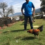 ramiro islas - @ramiroislas - Instagram