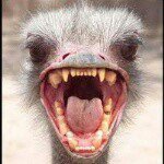 ramiro jasso mendez - @r.jasso242000 - Instagram