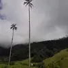 Ramiro Mesa - @ramiromesa - TikTok