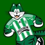 Ramiro Mesa - @ramiro.mesa.98478 - Instagram