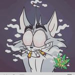 Ramiro Moran - @moran.ramiro - Instagram