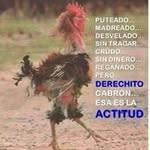 Ramiro Negrete - @negrete.ramiro - Instagram