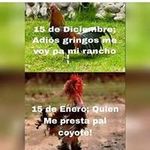 Ramiro Olivas - @olivas.ramiro - Instagram