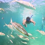 Ramiro Olmos - @ramiro.olmos.12 - Instagram