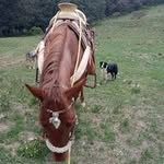 Ramiro Olvera - @ramiro.olvera.3762 - Instagram
