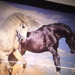 Ramiro Oregel - Facebook