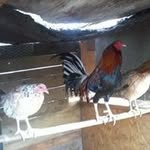Ramiro padilla - @ramiropadilla1068 - Instagram